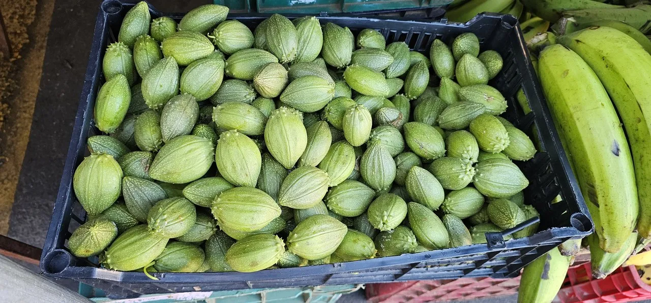 Starfruit and bananas in crates at a fruit stand, Costa Rica